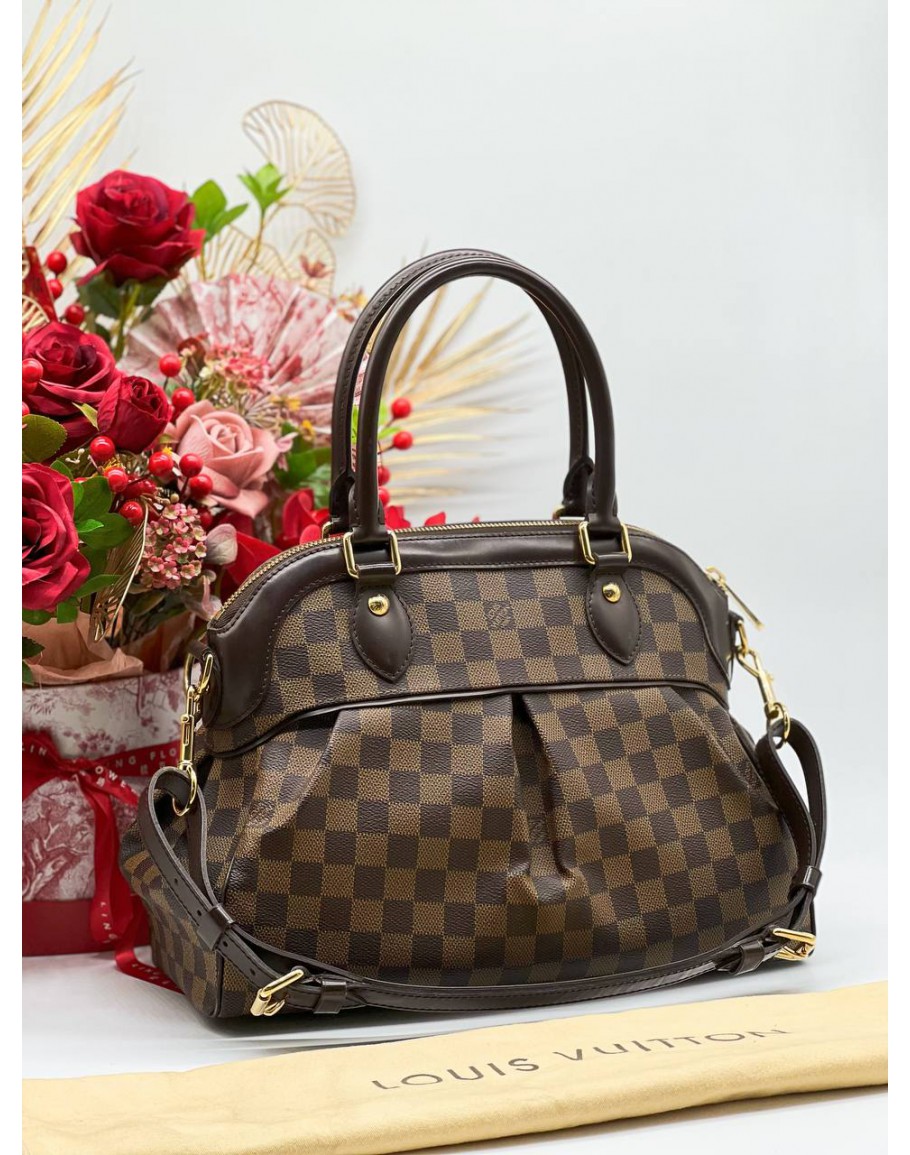 Louis Vuitton Trevi PM Handbag Review/ Should You Get This Bag (*One Of MY  Favorite Handbags) 