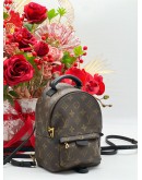 LOUIS VUITTON PALM SPRING PM BAG