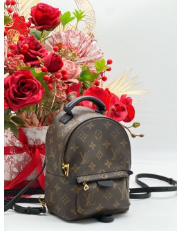 LOUIS VUITTON PALM SPRING PM BAG