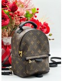 LOUIS VUITTON PALM SPRING PM BAG