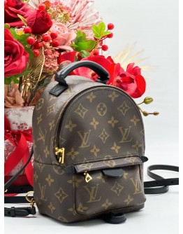 LOUIS VUITTON PALM SPRING PM BAG