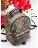 LOUIS VUITTON PALM SPRING PM BAG