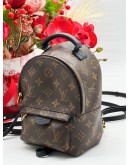 LOUIS VUITTON PALM SPRING PM BAG