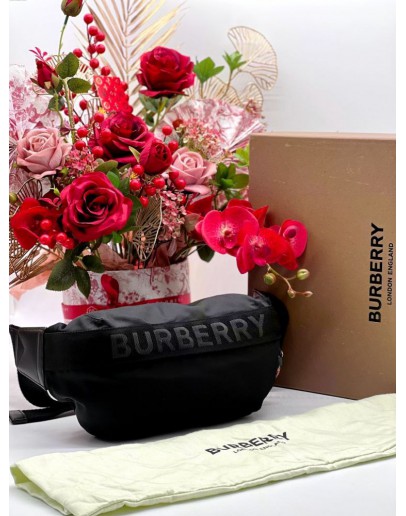 BURBERRY NYLON & LEATHER SONNY BELT BAG