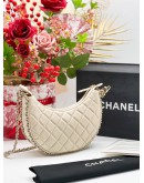 CHANEL SMALL LOOP HOBO BAG