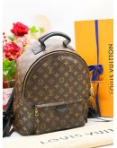 LOUIS VUITTON PALM SPRING MM BACKPACK 