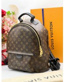 LOUIS VUITTON PALM SPRING MM BACKPACK 