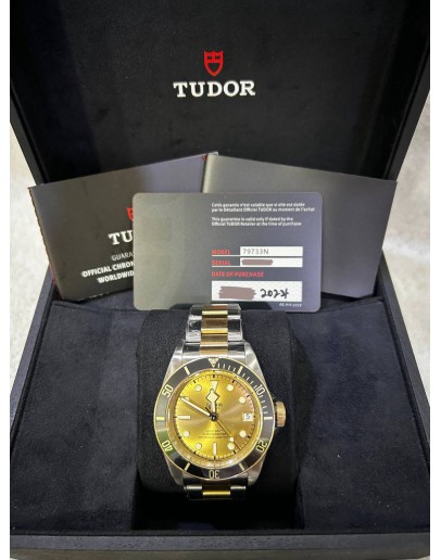 TUDOR CLASSIC DATE 21010 38MM AUTOMATIC WATCH