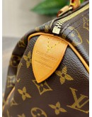 LOUIS VUITTON SPEEDY 25 IN MONOGRAM