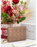 CHRISTIAN DIOR CARO EVERY DIOR POUCH ROSE DES VENTS SUPPLE CANNAGE CALFSKIN LEATHER  